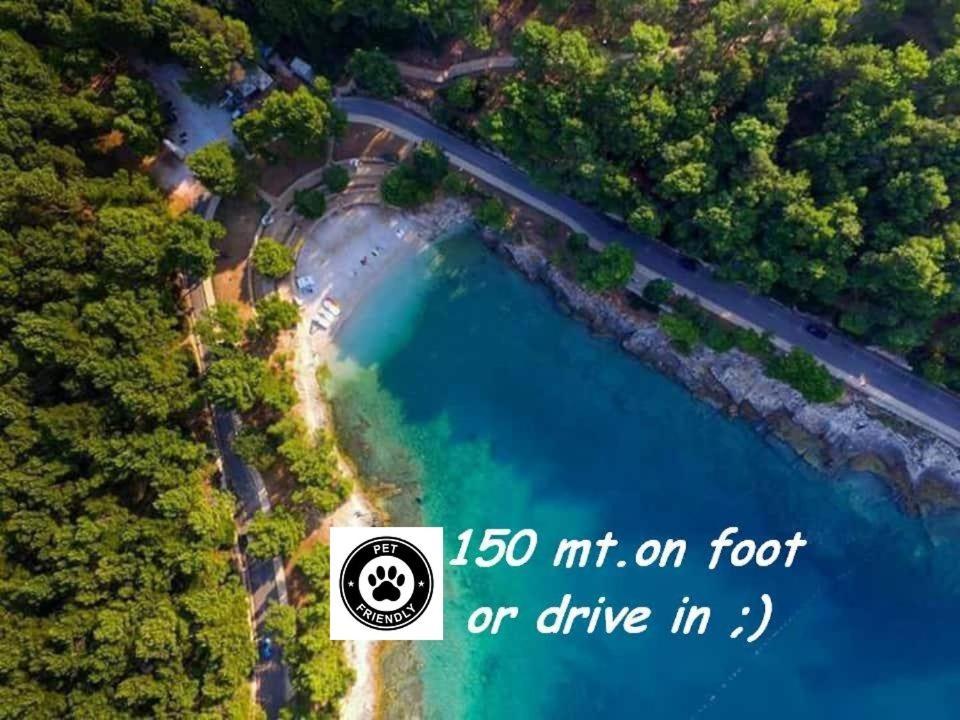 Villa Valkane Pet Friendly 150M From The Stunning Valkane Beach, City Indoor Pools-Fitness And City Mall Pula Eksteriør billede